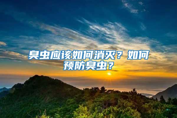 臭蟲應該如何消滅？如何預防臭蟲？
