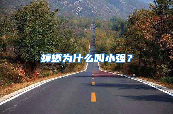 蟑螂為什么叫小強(qiáng)？