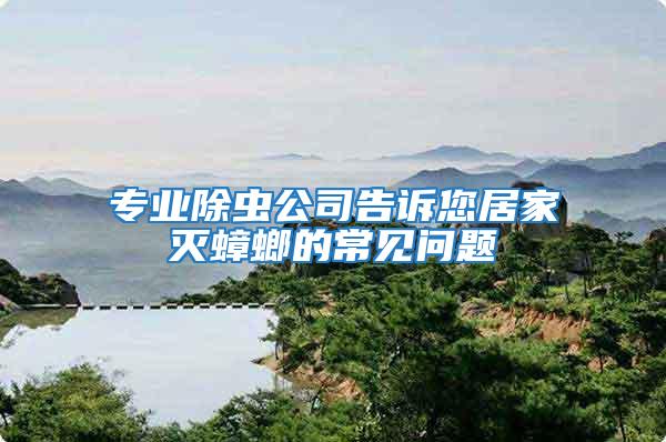 專業除蟲公司告訴您居家滅蟑螂的常見問題