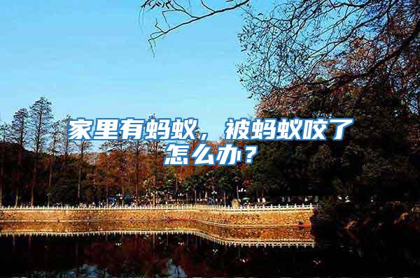 家里有螞蟻，被螞蟻咬了怎么辦？