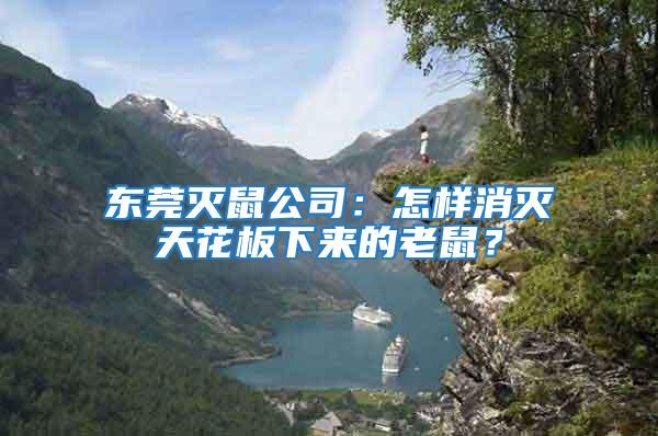 東莞滅鼠公司：怎樣消滅天花板下來(lái)的老鼠？