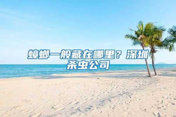 蟑螂一般藏在哪里？深圳殺蟲公司