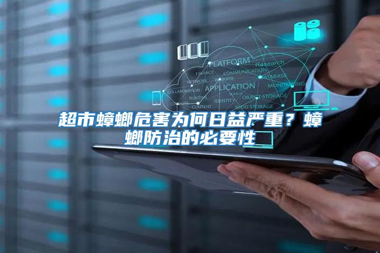 超市蟑螂危害為何日益嚴重？蟑螂防治的必要性