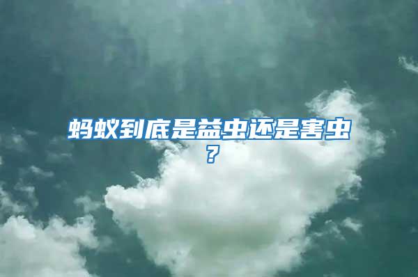 螞蟻到底是益蟲(chóng)還是害蟲(chóng)？