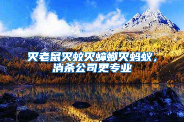 滅老鼠滅蚊滅蟑螂滅螞蟻，消殺公司更專業(yè)