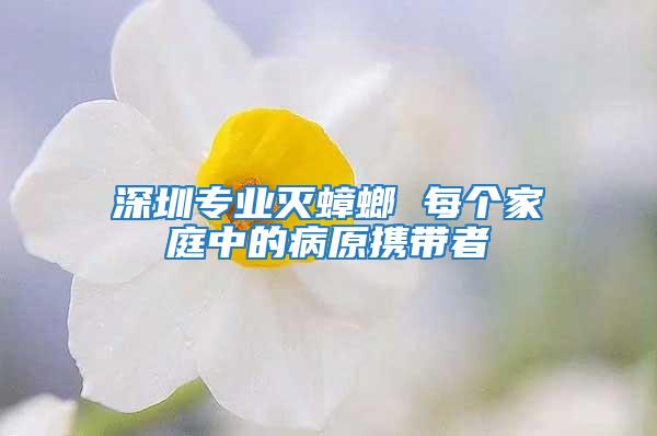 深圳專業滅蟑螂 每個家庭中的病原攜帶者