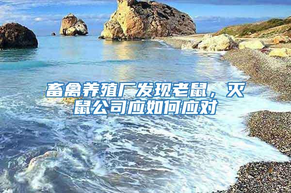 畜禽養(yǎng)殖廠發(fā)現(xiàn)老鼠，滅鼠公司應(yīng)如何應(yīng)對(duì)