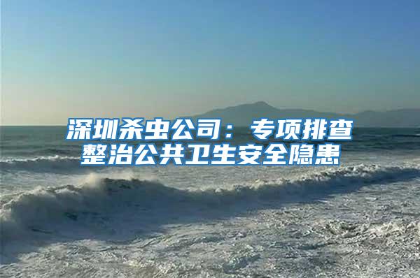 深圳殺蟲(chóng)公司：專項(xiàng)排查整治公共衛(wèi)生安全隱患
