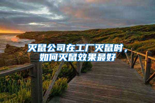 滅鼠公司在工廠滅鼠時(shí)，如何滅鼠效果最好