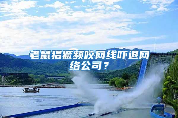 老鼠猖獗頻咬網線嚇退網絡公司？