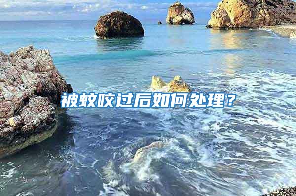 被蚊咬過后如何處理？