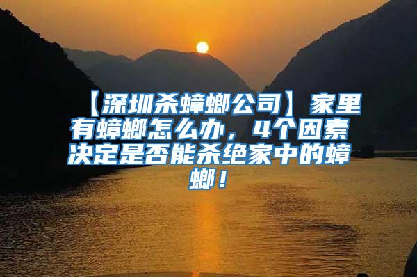 【深圳殺蟑螂公司】家里有蟑螂怎么辦，4個(gè)因素決定是否能殺絕家中的蟑螂！