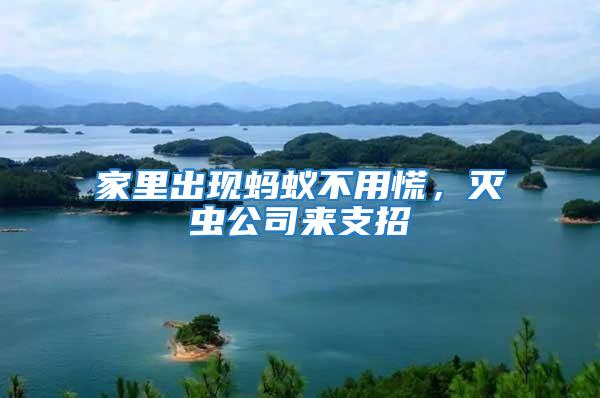 家里出現螞蟻不用慌，滅蟲公司來支招