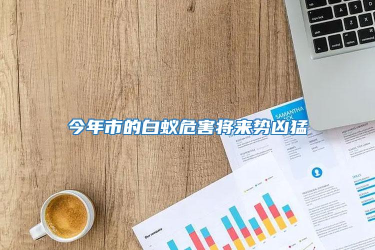 今年市的白蟻危害將來勢(shì)兇猛