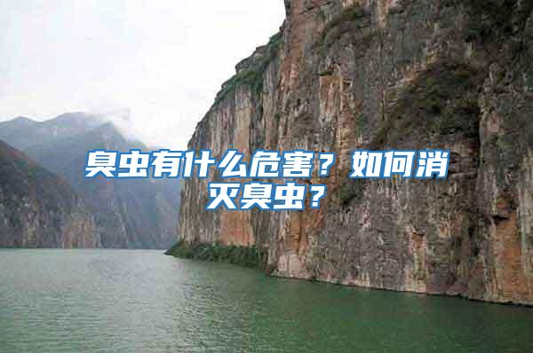 臭蟲有什么危害？如何消滅臭蟲？