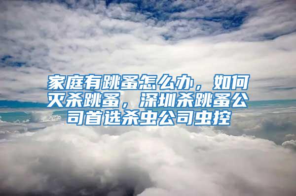 家庭有跳蚤怎么辦，如何滅殺跳蚤，深圳殺跳蚤公司首選殺蟲公司蟲控