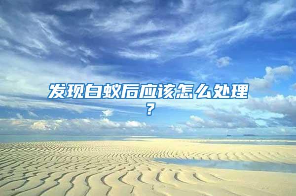 發(fā)現(xiàn)白蟻后應(yīng)該怎么處理？