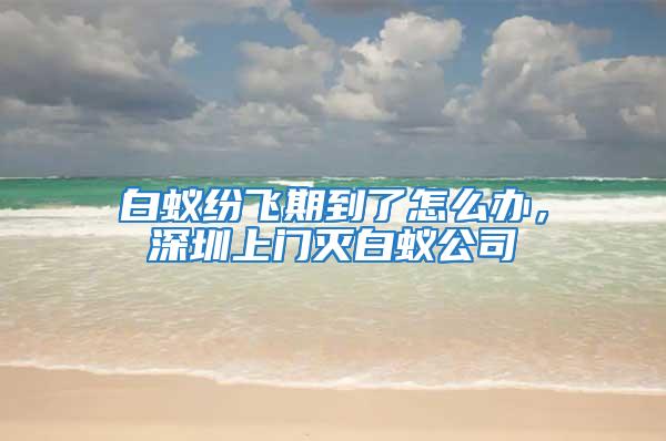 白蟻紛飛期到了怎么辦，深圳上門滅白蟻公司