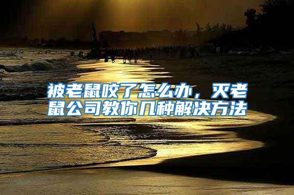 被老鼠咬了怎么辦，滅老鼠公司教你幾種解決方法