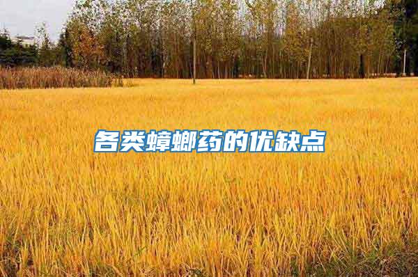 各類(lèi)蟑螂藥的優(yōu)缺點(diǎn)