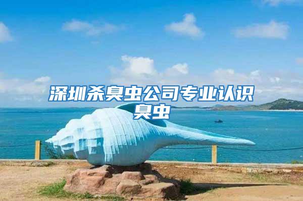 深圳殺臭蟲公司專業(yè)認(rèn)識臭蟲
