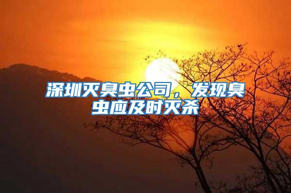 深圳滅臭蟲(chóng)公司，發(fā)現(xiàn)臭蟲(chóng)應(yīng)及時(shí)滅殺