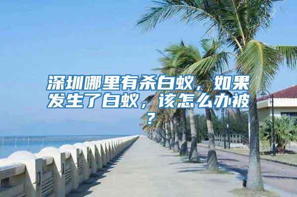 深圳哪里有殺白蟻，如果發生了白蟻，該怎么辦被？