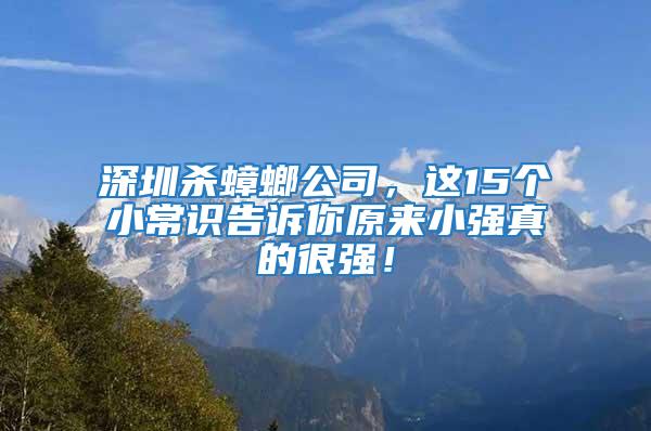 深圳殺蟑螂公司，這15個小常識告訴你原來小強真的很強！