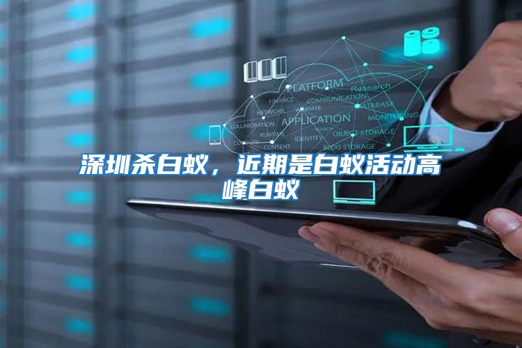深圳殺白蟻，近期是白蟻活動(dòng)高峰白蟻