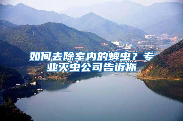 如何去除室內(nèi)的蜱蟲？專業(yè)滅蟲公司告訴你