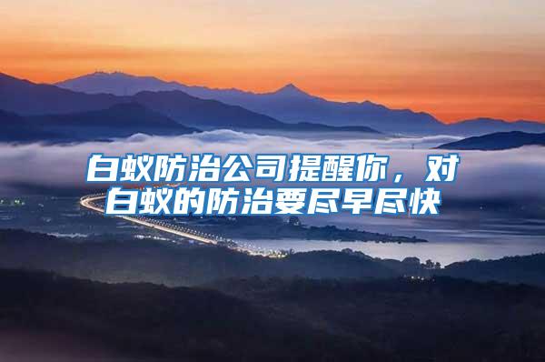 白蟻防治公司提醒你，對白蟻的防治要盡早盡快