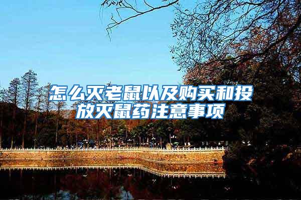 怎么滅老鼠以及購買和投放滅鼠藥注意事項(xiàng)