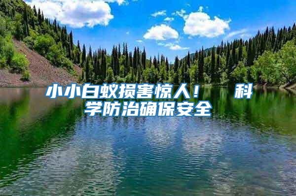 小小白蟻損害驚人！  科學防治確保安全