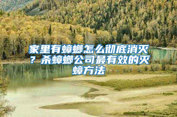 家里有蟑螂怎么徹底消滅？殺蟑螂公司最有效的滅蟑方法