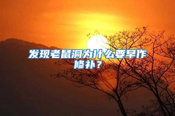 發(fā)現(xiàn)老鼠洞為什么要早作修補(bǔ)？