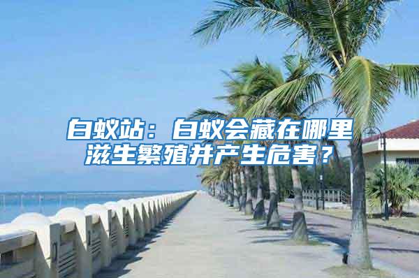 白蟻站：白蟻會(huì)藏在哪里滋生繁殖并產(chǎn)生危害？