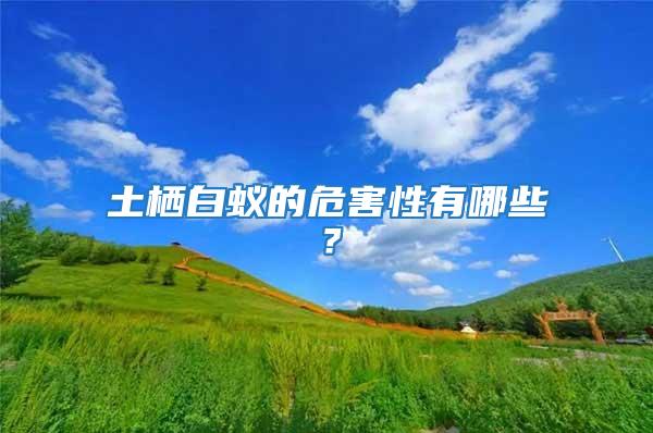 土棲白蟻的危害性有哪些？