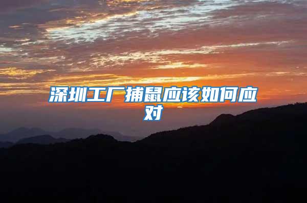 深圳工廠捕鼠應(yīng)該如何應(yīng)對