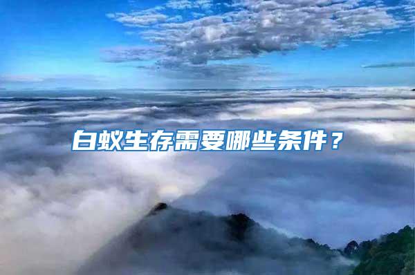 白蟻生存需要哪些條件？