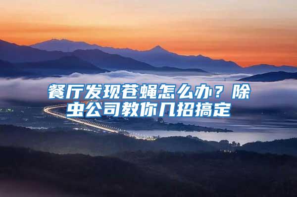 餐廳發現蒼蠅怎么辦？除蟲公司教你幾招搞定
