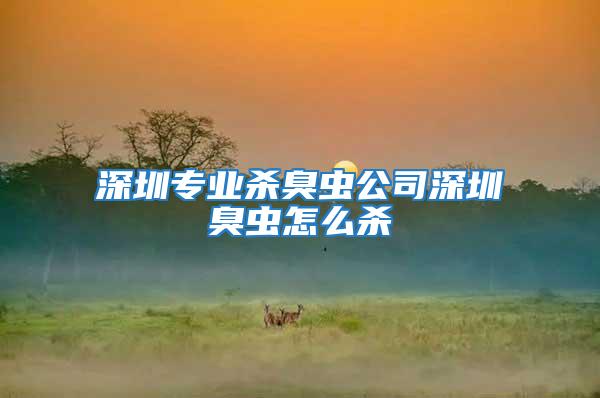 深圳專業(yè)殺臭蟲(chóng)公司深圳臭蟲(chóng)怎么殺