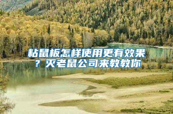粘鼠板怎樣使用更有效果？滅老鼠公司來(lái)教教你