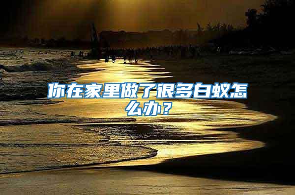 你在家里做了很多白蟻怎么辦？