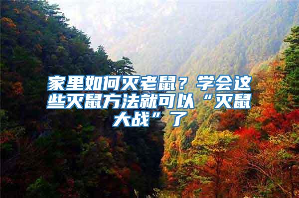 家里如何滅老鼠？學會這些滅鼠方法就可以“滅鼠大戰”了