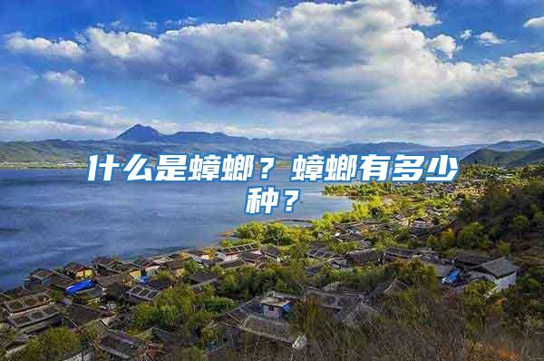什么是蟑螂？蟑螂有多少種？