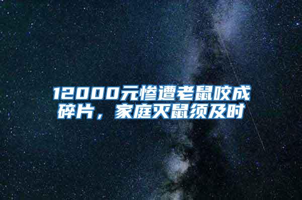 12000元慘遭老鼠咬成碎片,家庭滅鼠須及時