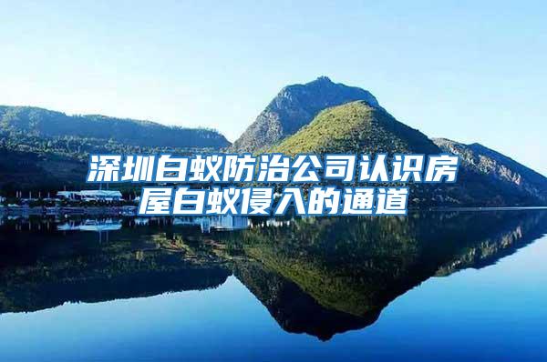 深圳白蟻防治公司認(rèn)識(shí)房屋白蟻侵入的通道