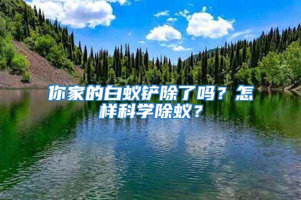 你家的白蟻鏟除了嗎？怎樣科學除蟻？