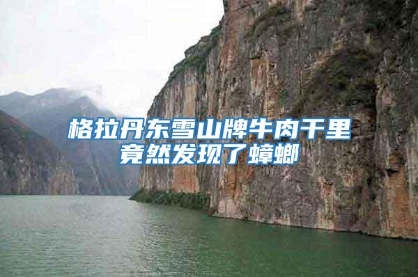 格拉丹東雪山牌牛肉干里竟然發(fā)現(xiàn)了蟑螂