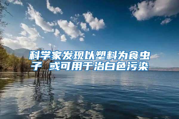 科學(xué)家發(fā)現(xiàn)以塑料為食蟲(chóng)子 或可用于治白色污染